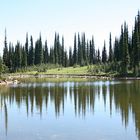 Mt. Revelstoke NP I