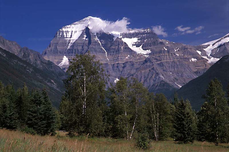 Mt. Robson