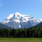 Mt. Robson