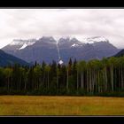 Mt. Robson