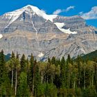 Mt. Robson