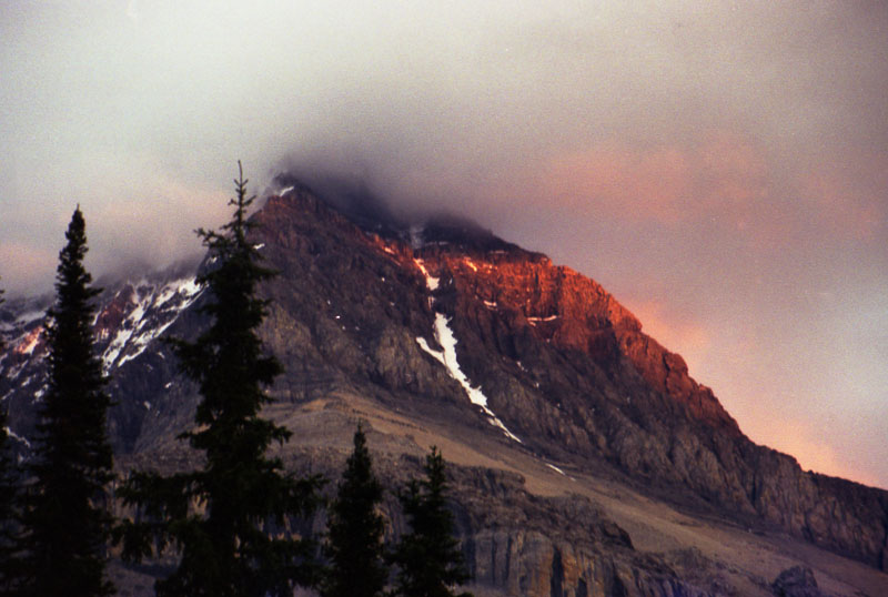 Mt. Robson