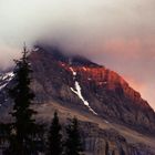 Mt. Robson