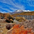 Mt. Ruapehu