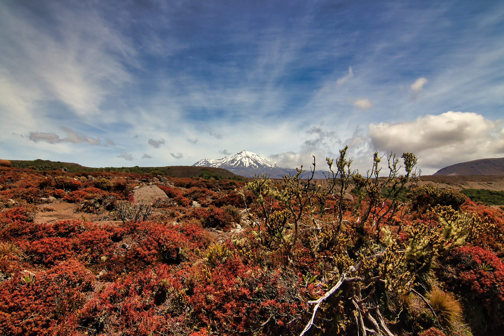 Mt. Ruapehu