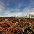 Mt. Ruapehu