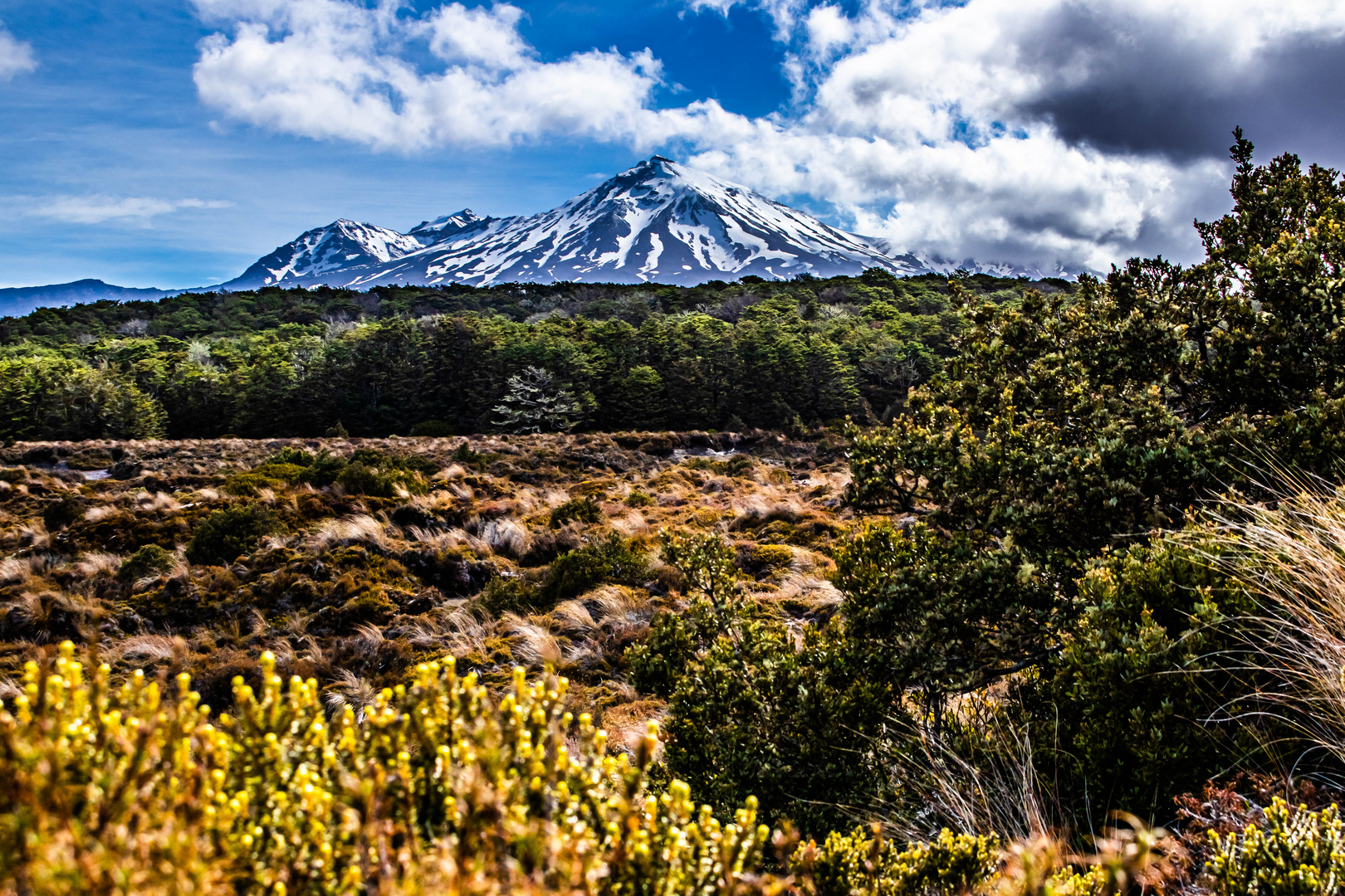 Mt. Ruapehu