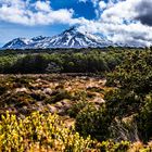 Mt. Ruapehu