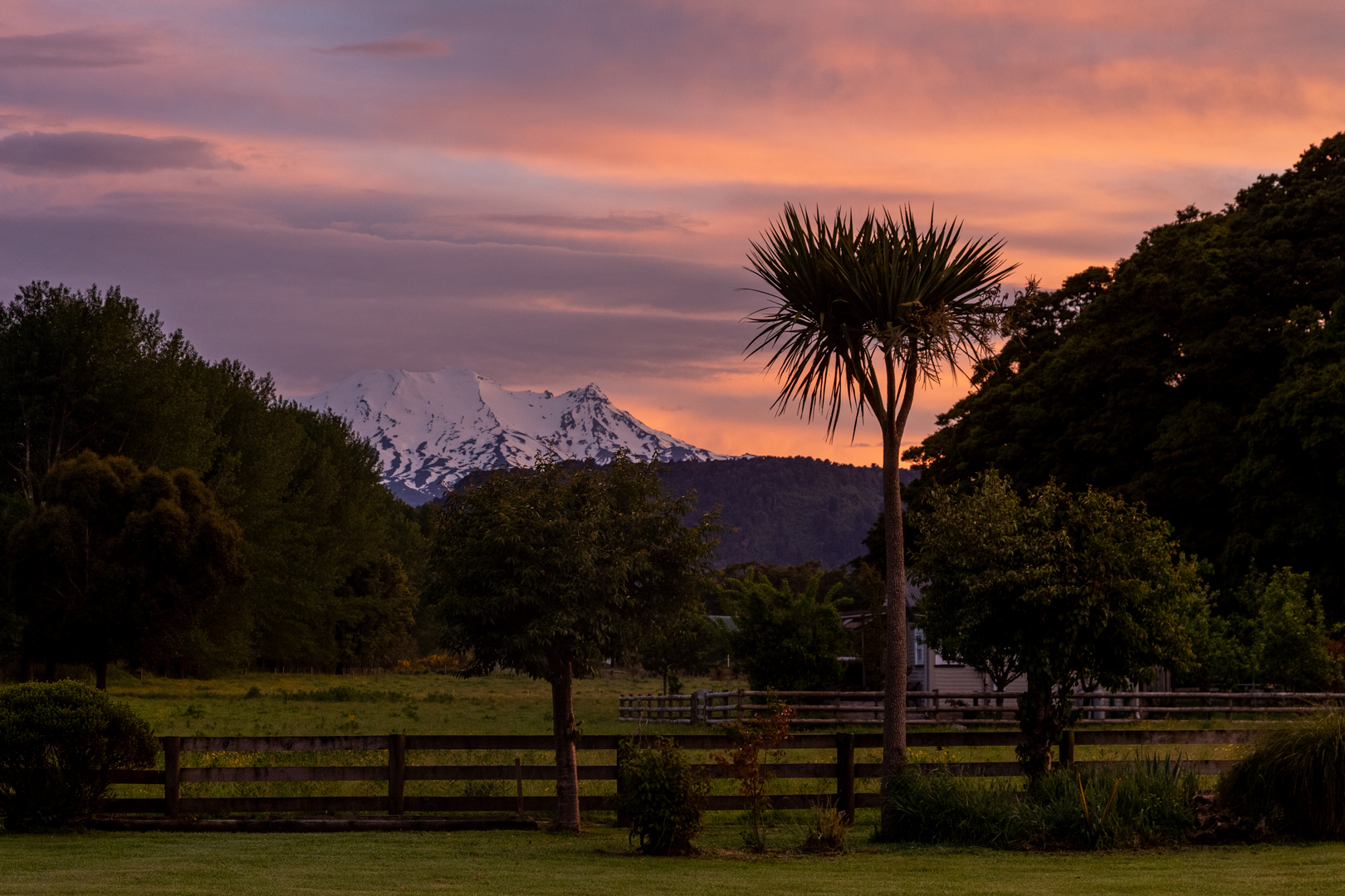 Mt. Ruapehu at sunrise