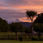 Mt. Ruapehu at sunrise