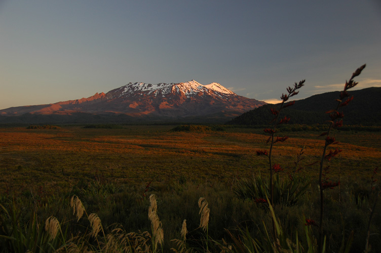 Mt. Ruapehu on sunset