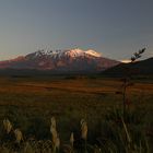 Mt. Ruapehu on sunset