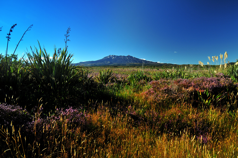 Mt. Ruapehue