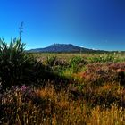 Mt. Ruapehue