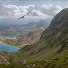 Mt. Snowdon