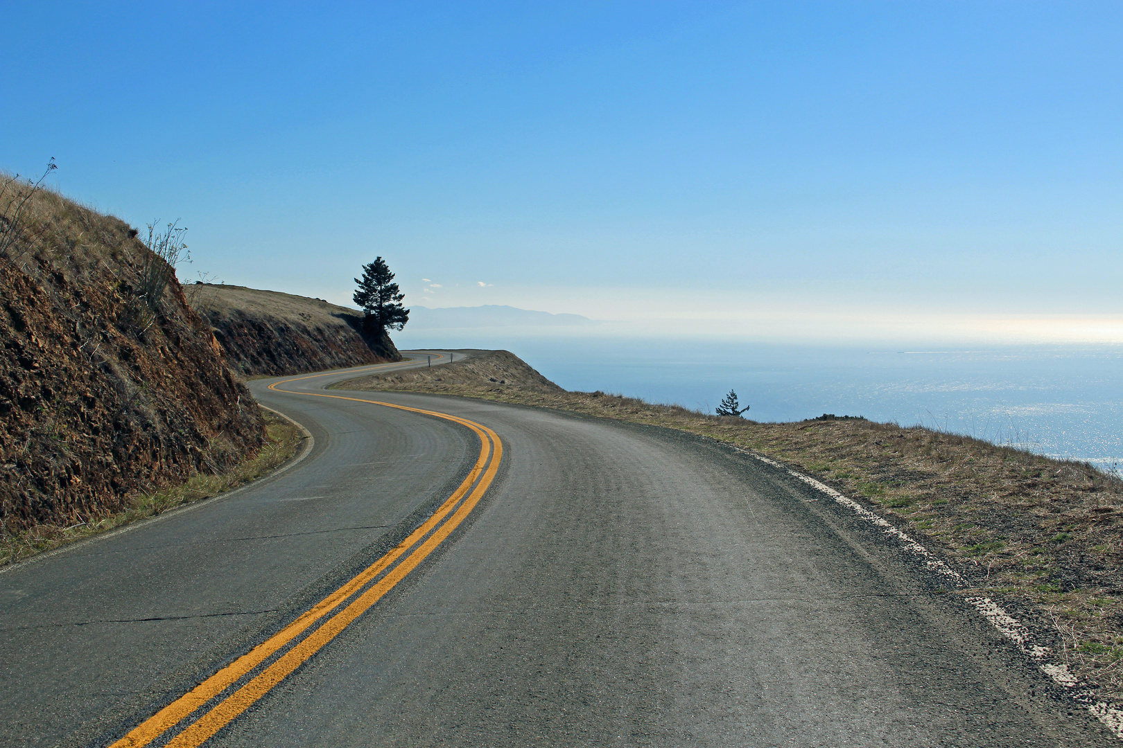 Mt. Tamalpais State Park.