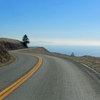 Mt. Tamalpais State Park.