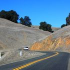 Mt. Tamalpais State Park