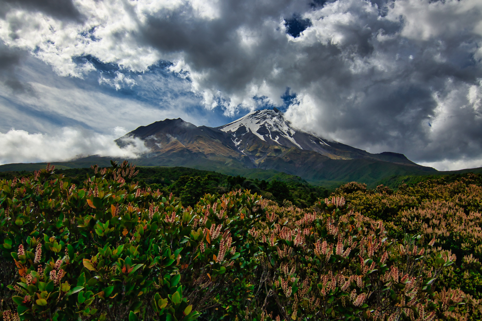 Mt. Taranaki