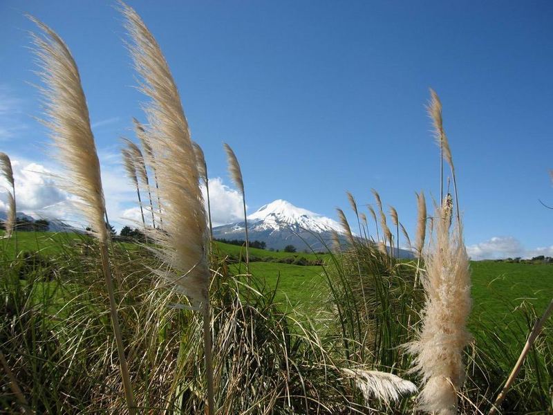 Mt Taranaki