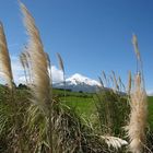 Mt Taranaki