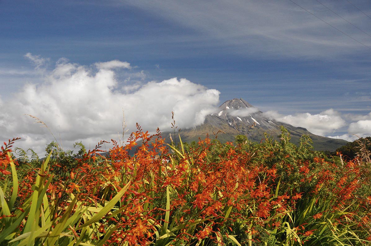 Mt. Taranaki