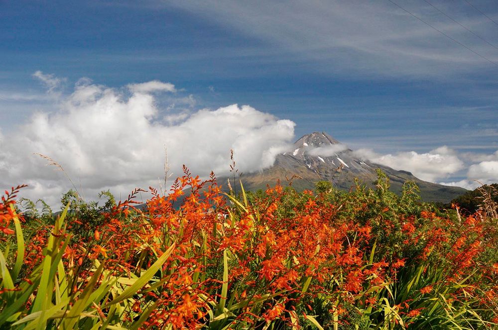 Mt. Taranaki