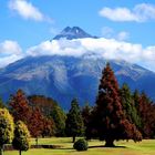 Mt Taranaki