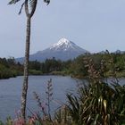 Mt. Taranaki