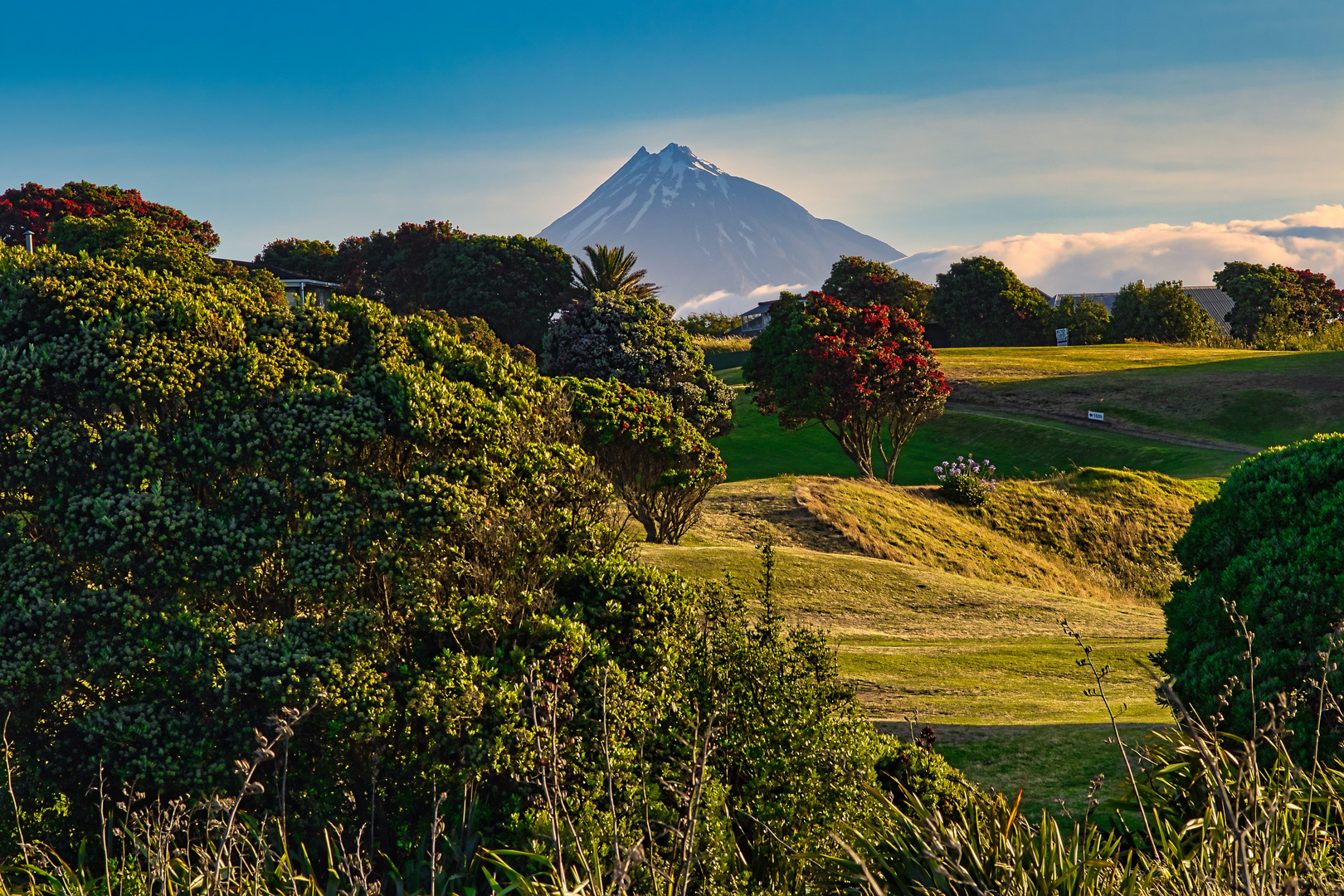 Mt. Taranaki