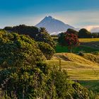 Mt. Taranaki