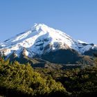 Mt. Taranaki