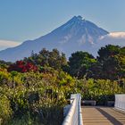 Mt. Taranaki - Mt. Egmont