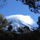 Mt. Taranaki, Wanganui/New Zealand