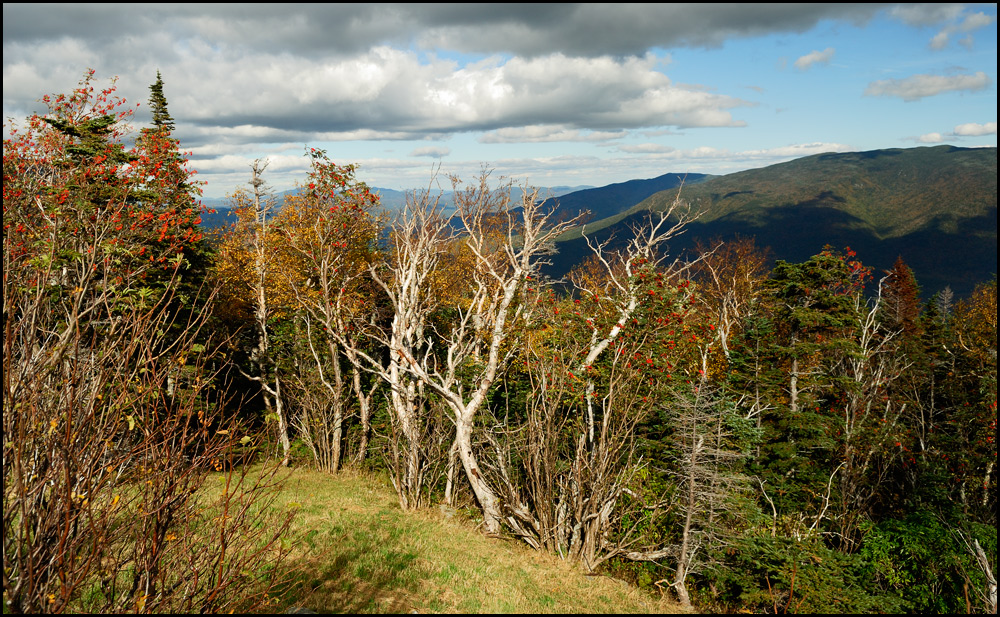 [ Mt. Washington - on the way to the summit ]