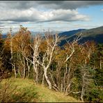 [ Mt. Washington - on the way to the summit ]