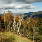 [ Mt. Washington - on the way to the summit ]