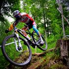 MTB Cross- Country- DM in Bad Salzdetfurth...