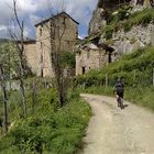 MTB e natura sono due cose sempre molto legate