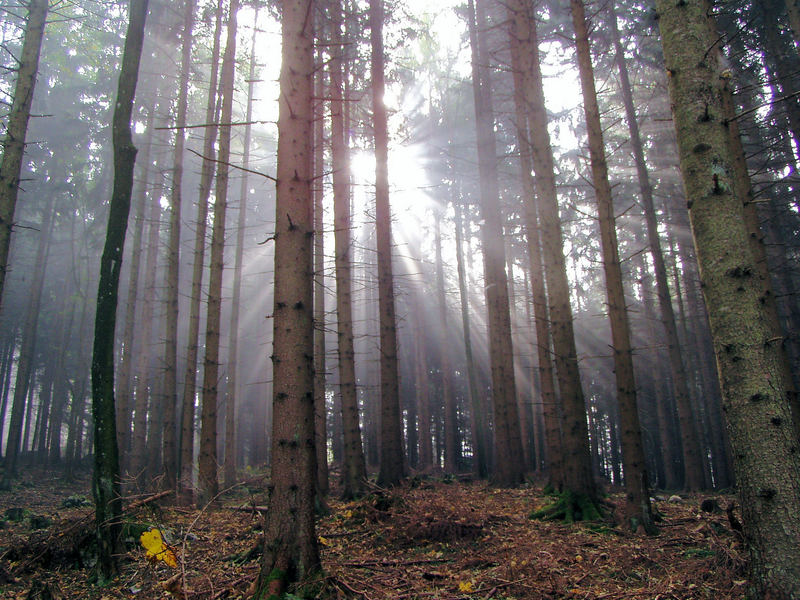 MTB Eindrücke