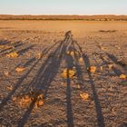 MTB-Feierabend-Runde in der Namib