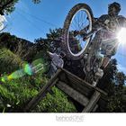 mtb freeride