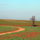 mtb in the countryside