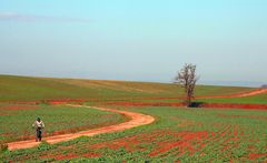 mtb in the countryside