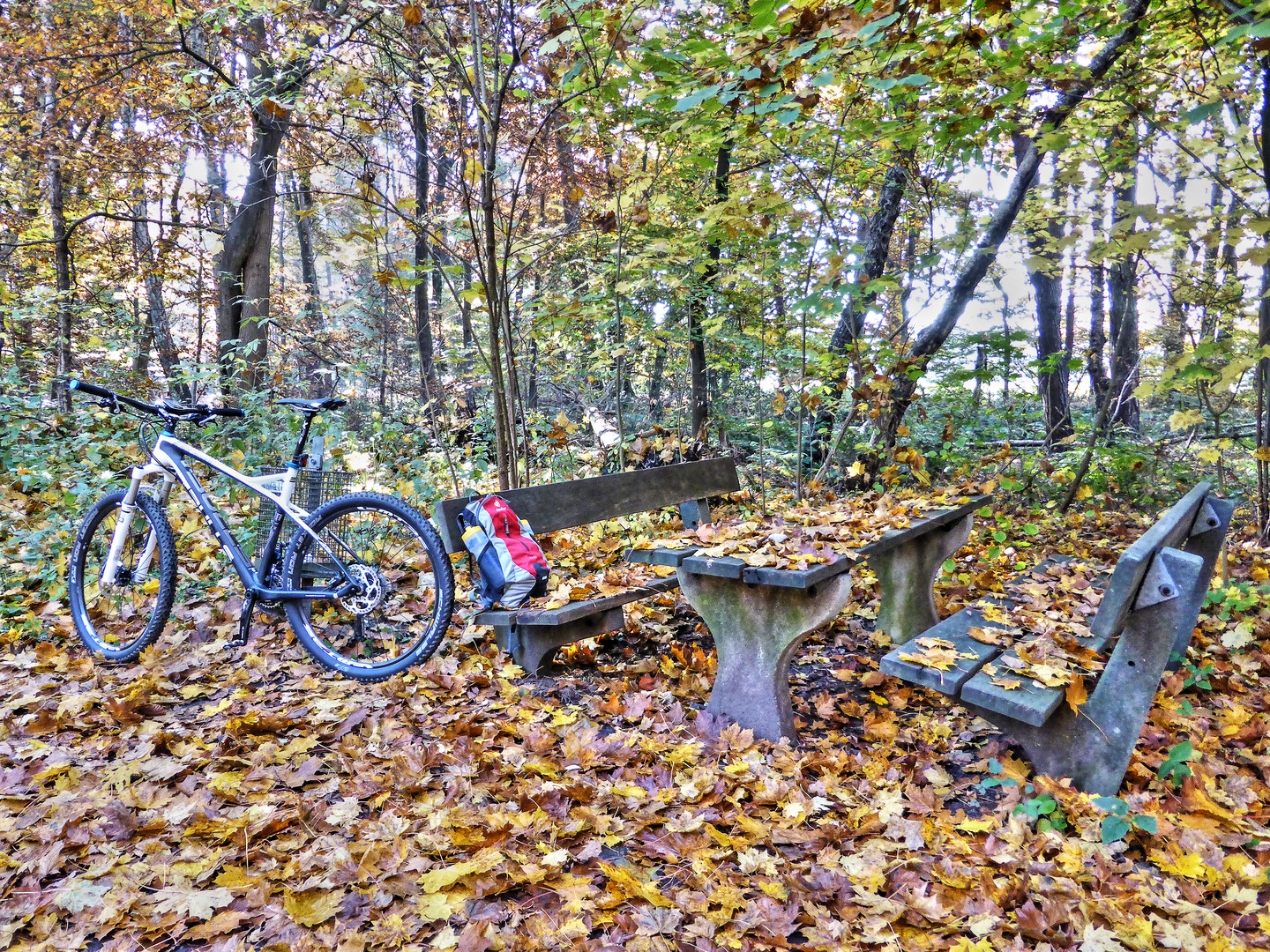 MTB RAST HERBST TOUR 2015