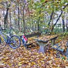 MTB RAST HERBST TOUR 2015