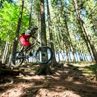 MTB Rider F