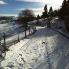 MTB SULLA NEVE DEL GRAPPA