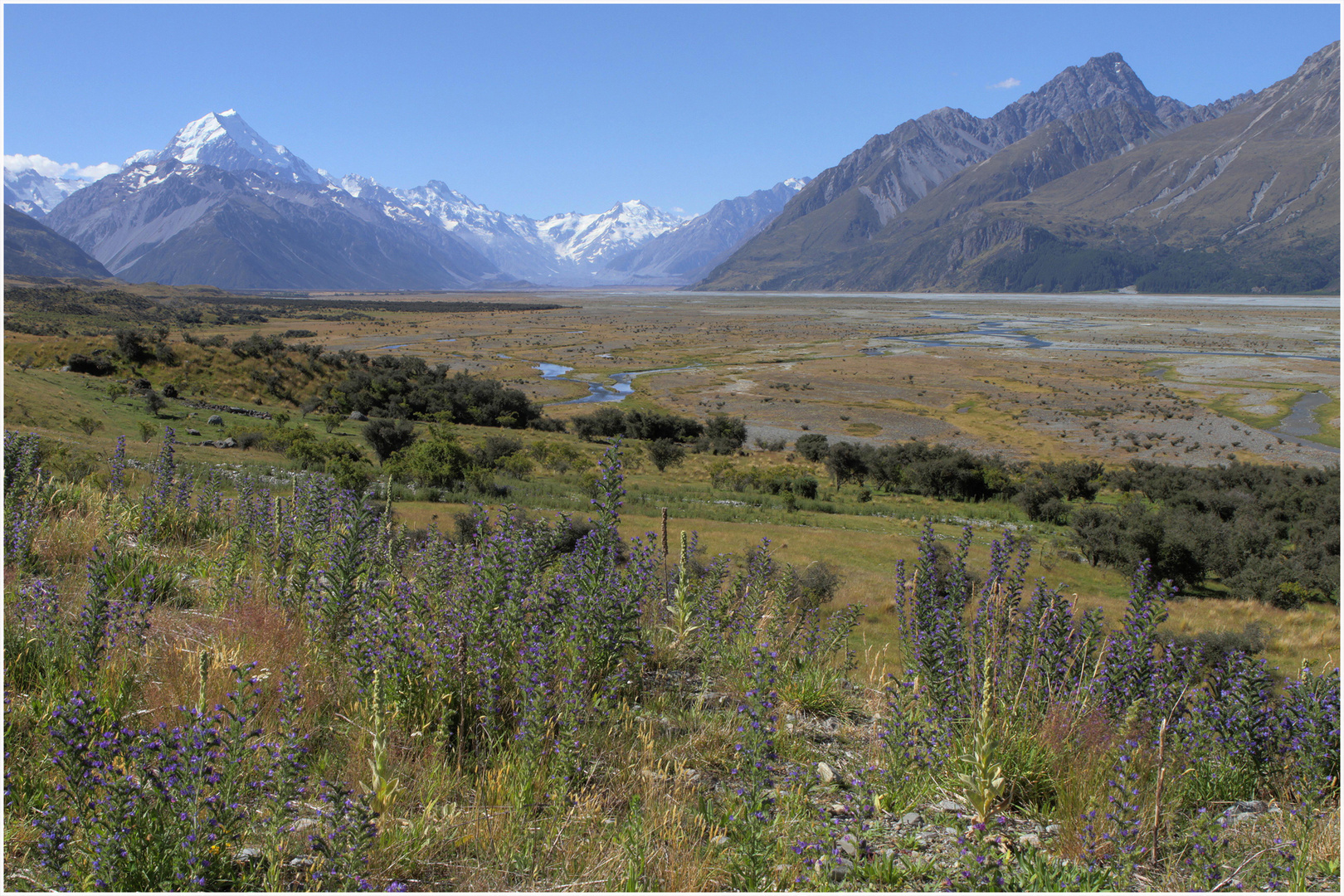 Mt.Cook 5