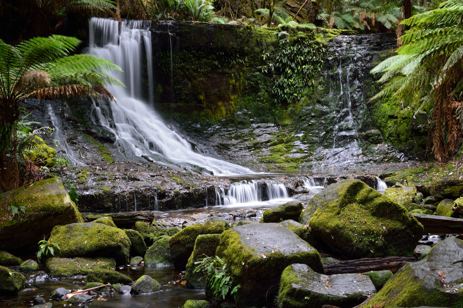 Mt.Field National Park